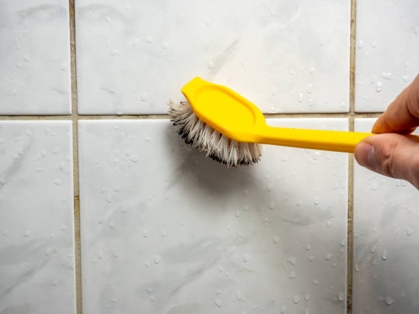 Best Black Mold Removal  in Bonita Springs, FL