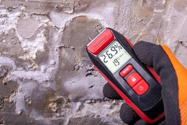 Best Mold Damage Repair  in Bonita Springs, FL