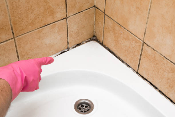 Best Residential Mold Removal  in Bonita Springs, FL